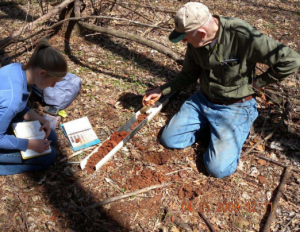 analyzing the soil color of the montpelier forest with munsell soil color charts