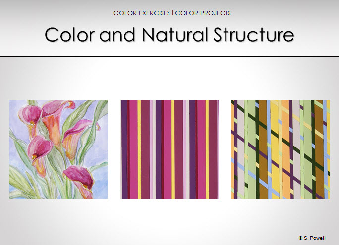 alice chu color and natural structure