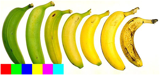 bananas-viewed-by-john