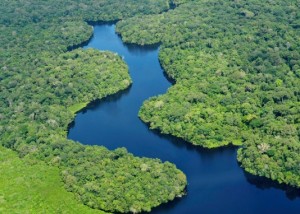 Shades of green in this aerial view of the Amazon Rainforest