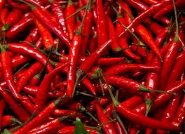 A pile of hot red chili peppers.