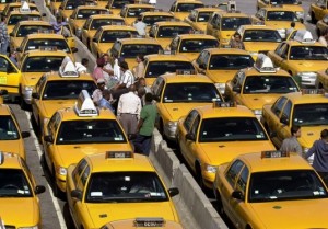 Rows of yellow taxi cabs.