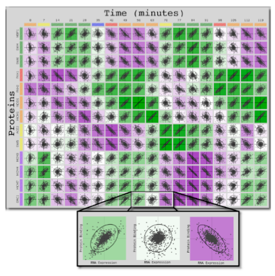 Large scale molecular biological data visualization using Munsell colors, showing a chart with Proteins on the Y-axis and Time (minutes) on the X-axis.