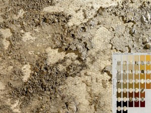 Picture of soil next to a Munsell soil color chart used for identification.