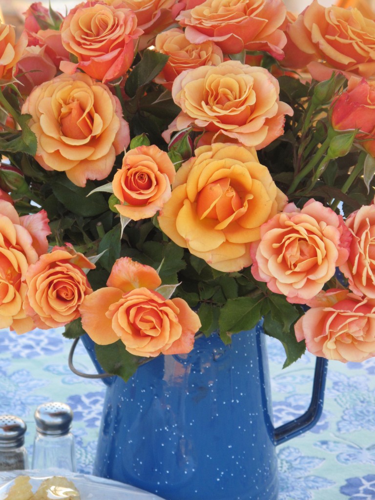 Orange roses in a blue vase