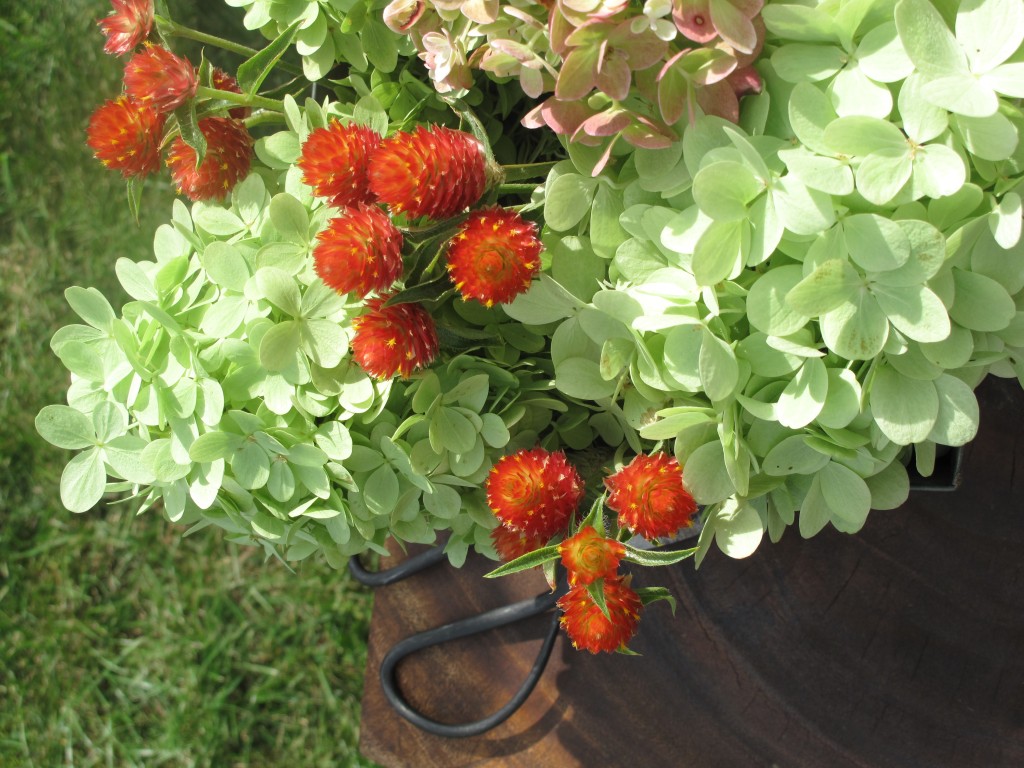 Hydrangeas and amaranth flower arrangement
