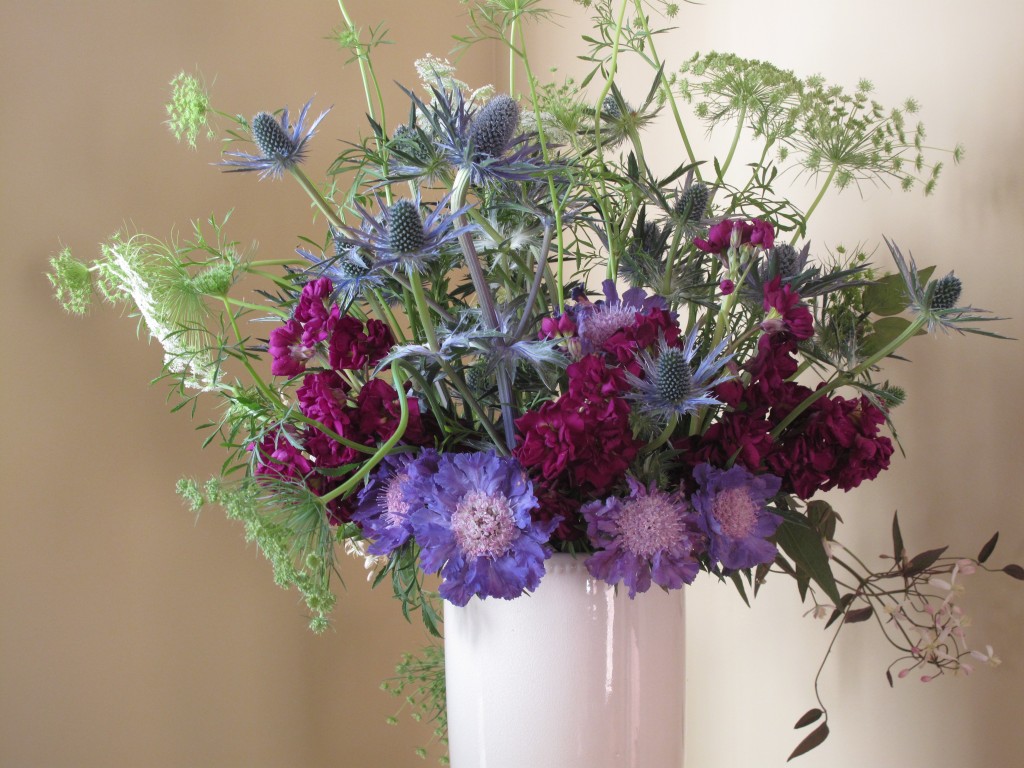An flower arrangement of periwinkled scabiosa, Queen Anne's lace, sea holly in a white vase