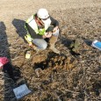 Scientist performing wetland construction soil classification out in the field.