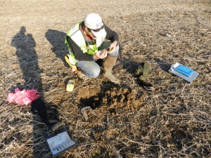 Scientist performing wetland construction soil classification out in the field.