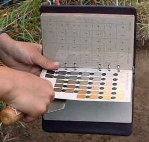 Munsell Color Chart Archaeology