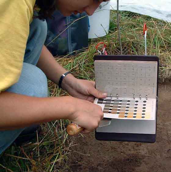 A student uses a Munsell soil book in the field to determine soil colors.