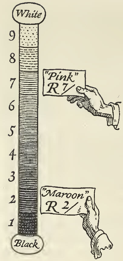 Illustration of a vertical pole with gradiations in darkness, with White at the top and Black on the bottom and showing where Pink and Maroon are represented on this scale to demonstrate the Value dimension in the Munsell Color System.