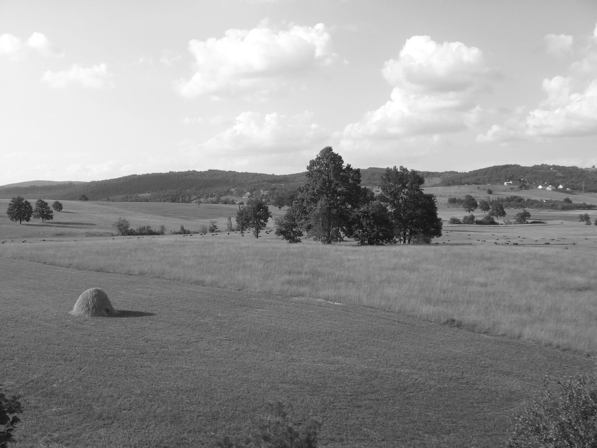 View of mountain fields in grayscale.