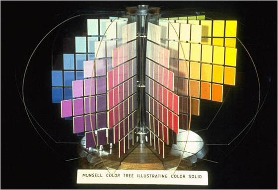 A photograph of the Munsell color tree