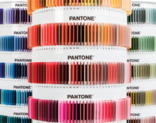 A close-up showing the Pantone plastic color chips in a carousel