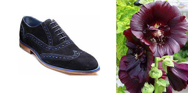 Two images side by side - blue suede shoes and hollyhock flowers