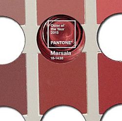 A view of the Pantone Color of the Year, Marsala, as seen through a Munsell soil color chart.