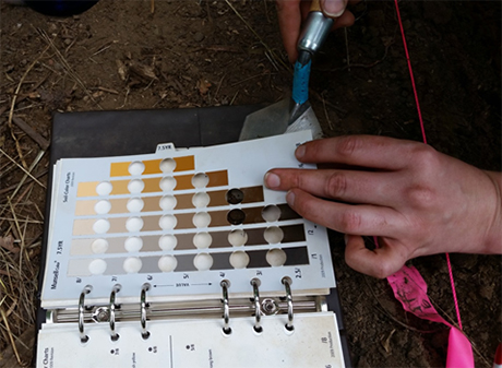 An archaeologist using the Munsell Soil Color Chart as a guide in the field