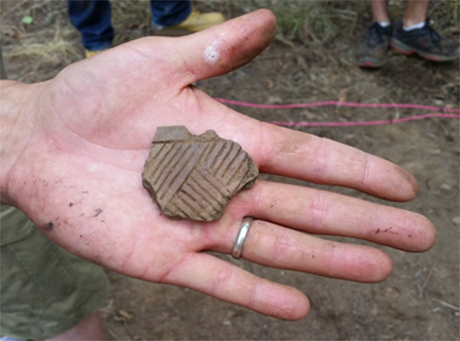 An archaeologist holds out a sherd of clay from an excavation site