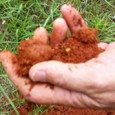 An archaeologist holding a handful of Marsala color soil