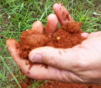 An archaeologist holding a handful of Marsala color soil