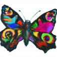 Painting of a butterfly by Concetta Antico