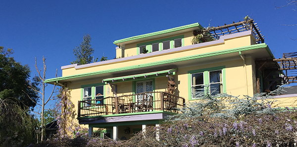 A front exterior view of Concetta Antico's house in pale yellows and greens surrounded by beautiful purple wisteria