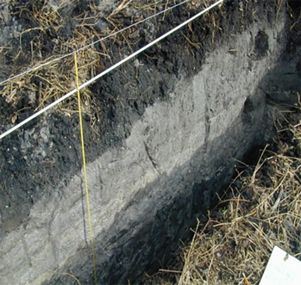 A profile of a Maya ditched field soil excavation