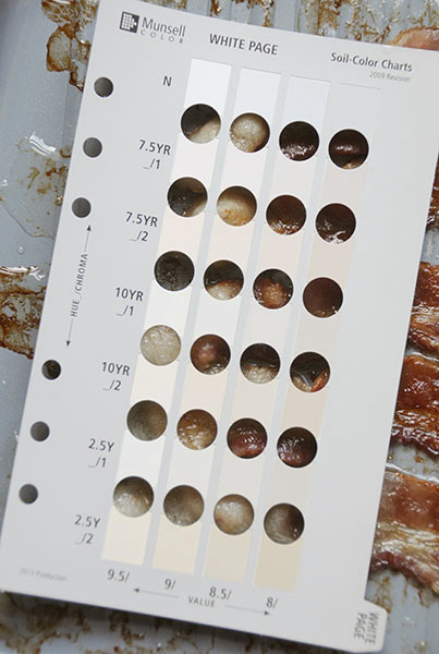 Bacon in a pan with the Munsell White Color Chart