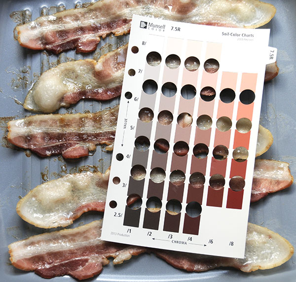 Bacon in a pan showing the Munsell color chart notation for chewy bacon