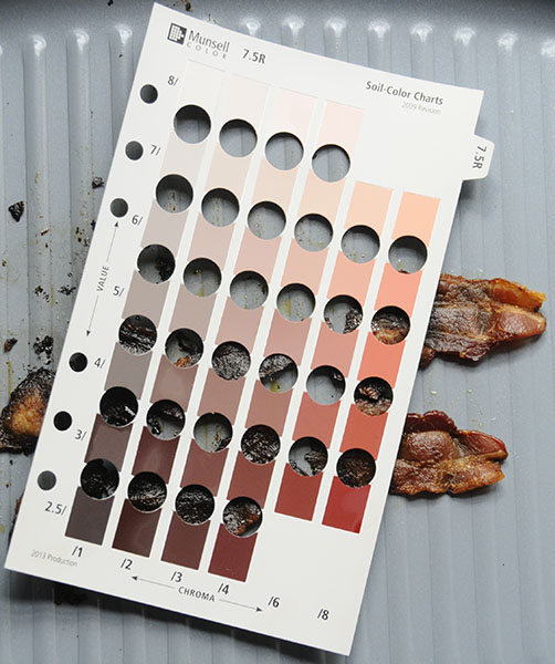 Extra crispy, well-done bacon in a pan with the Munsell color chart