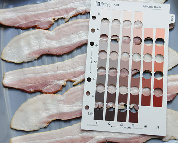 Raw bacon in a pan with the Munsell color 7.5R chart
