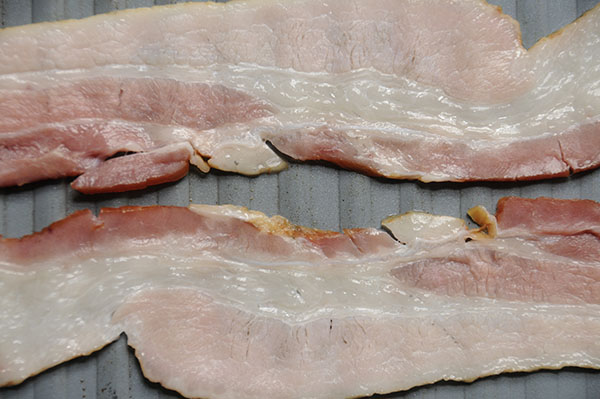 Can you feed dogs raw outlet bacon