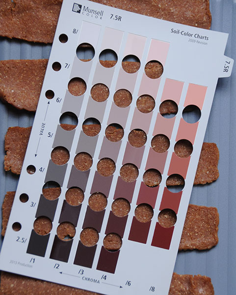 Uncooked fake bacon in a pan with a Munsell color chart
