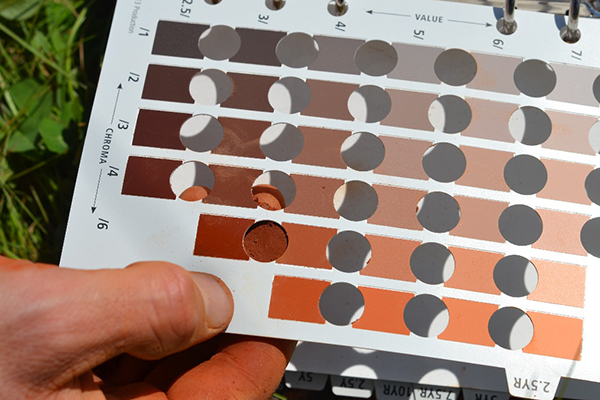 A geologist using a Munsell soil color chart on a wine vineyard