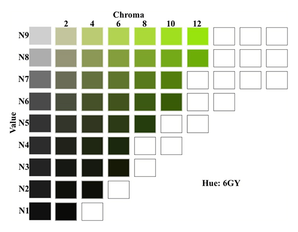 A chart showing the Munsell value, hue and chroma for 6GY