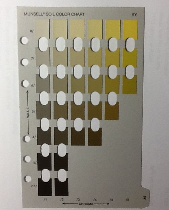 munsellsoilcolorchart5Y Munsell Color System; Color Matching from