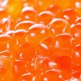 A close-up of orange caviar