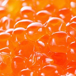 A close-up of orange caviar