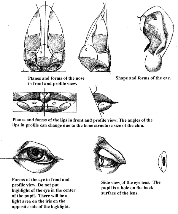 Excerpt from the book "Frank J. Reilly - Elements of Painting" featuring planes and forms of the human face