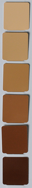 An example of a Munsell color chart value scale