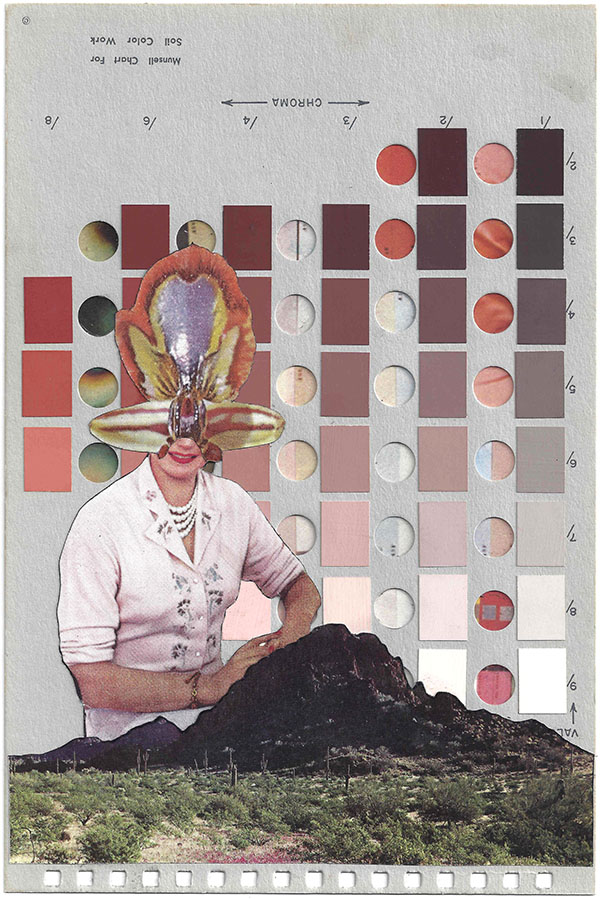 A collage by Chad Yenney featuring a Munsell color chart a bee and a women