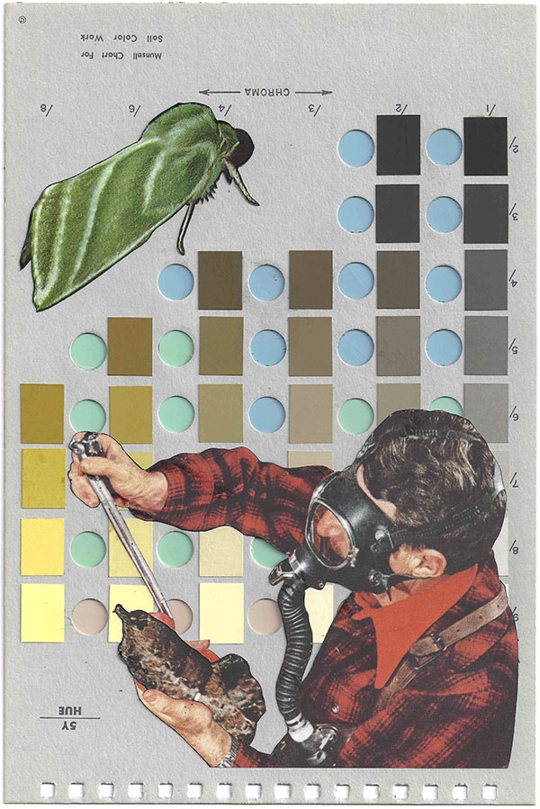 A collage by Chad Yenney featuring a Munsell color chart, a man and bugs