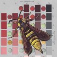 Detail of a collage by Chad Yenney featuring a Munsell soil color chart and a bee