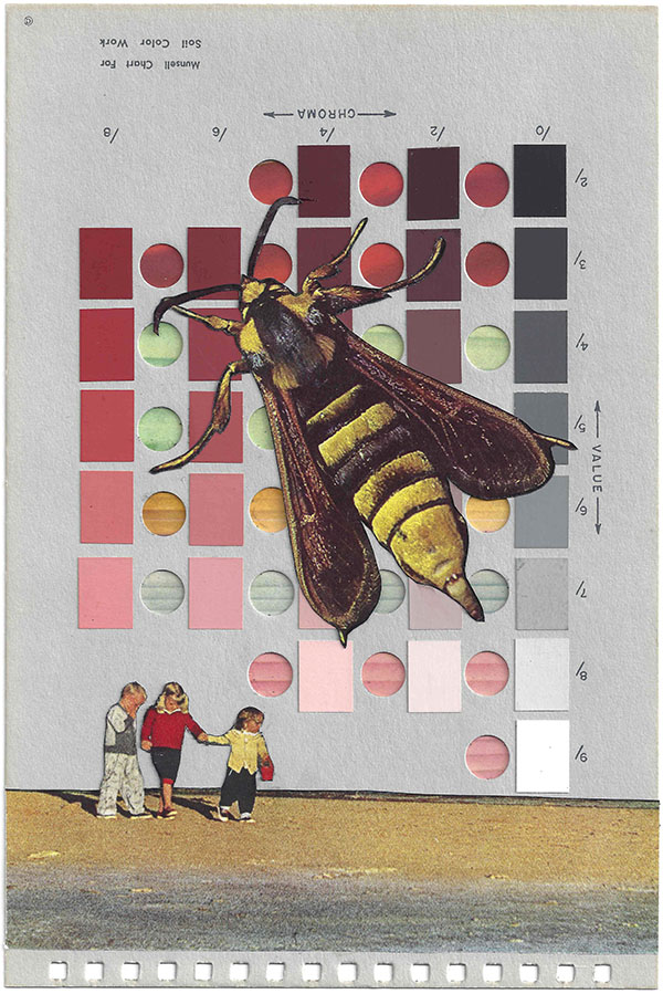 A collage by Chad Yenney featuring a Munsell color chart, children and a giant bee