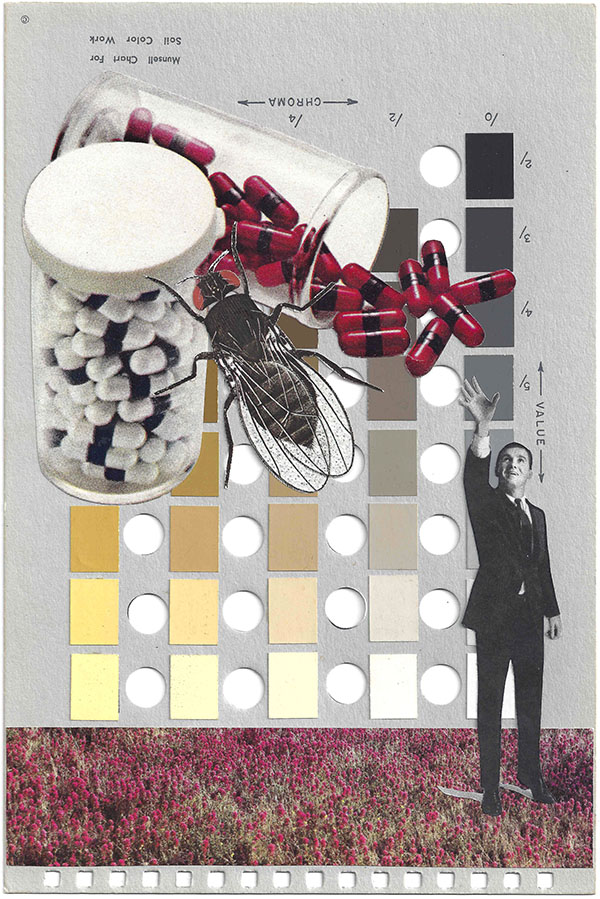 A collage by Chad Yenney featuring a Munsell color chart, pills and a man reaching for them