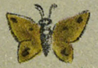 A yellow and black butterfly in crayon from Plate 2 of A Color Notation